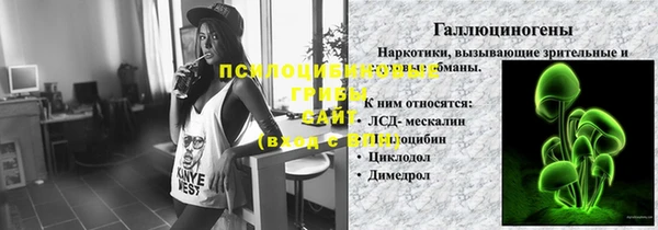 соль ск Алексин