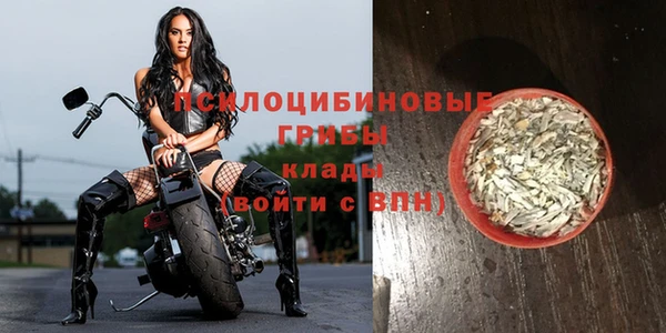 соль курить ск Арсеньев