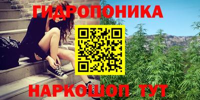 стафф Заволжье