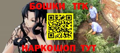 скорость Заводоуковск