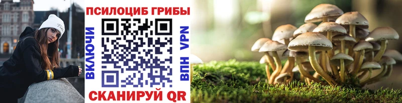 kraken вход  что такое   Минусинск  Галлюциногенные грибы прущие грибы 