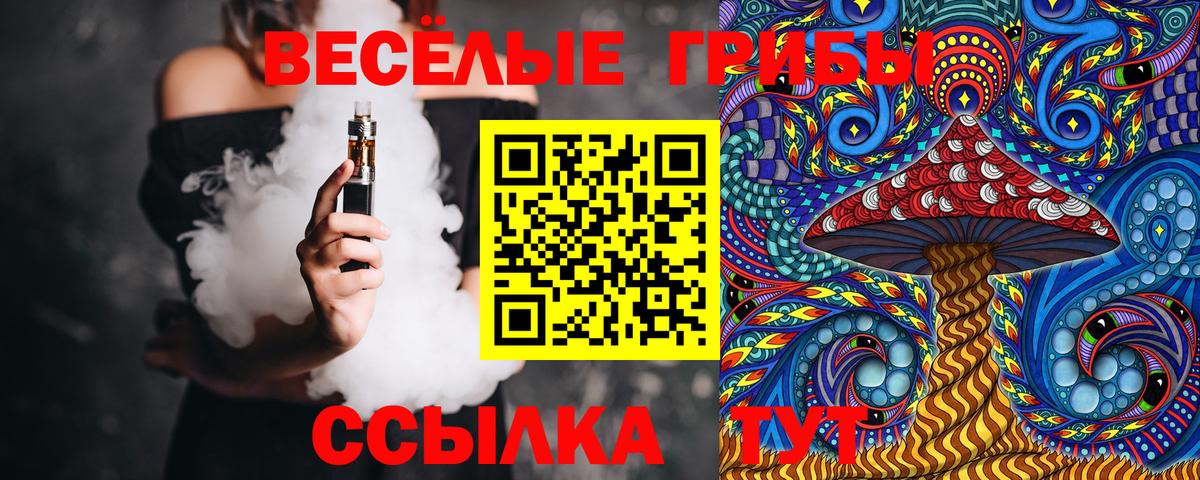 Галлюциногенные грибы GOLDEN TEACHER Минусинск