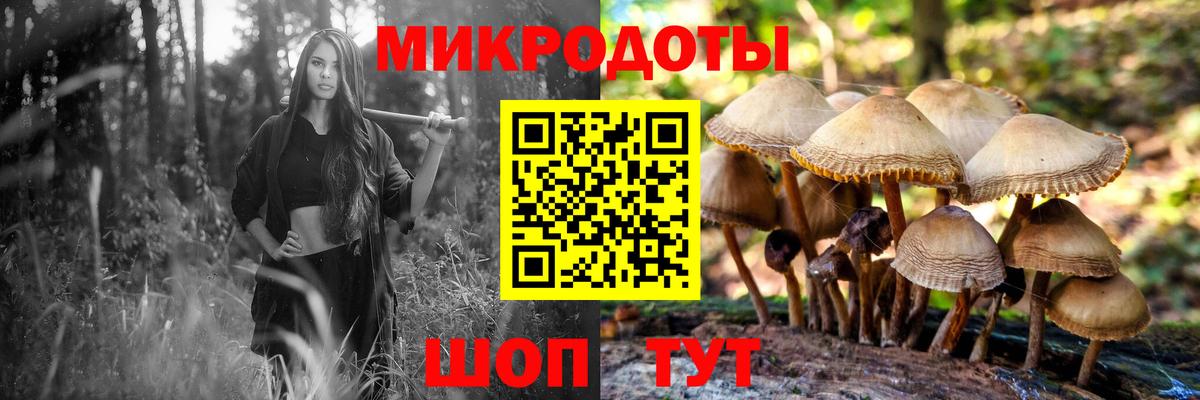 Галлюциногенные грибы Psilocybine cubensis  Вход с VPN  даркнет сайт  Минусинск  Галлюциногенные грибы GOLDEN TEACHER 